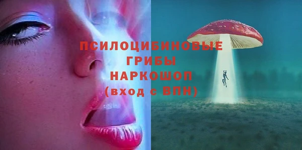 молекула духа Верхний Тагил